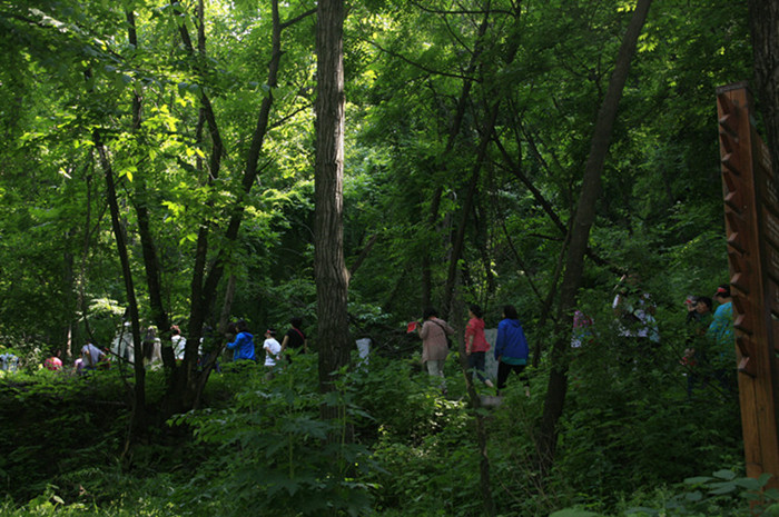 “燕子山号”高铁旅游专列活动
