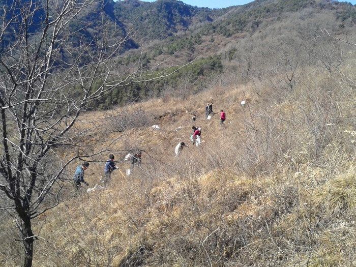 �����ֳ������ֳ�