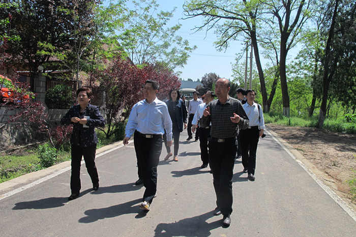 陈传进厅长到川口林场柿子园林区调研