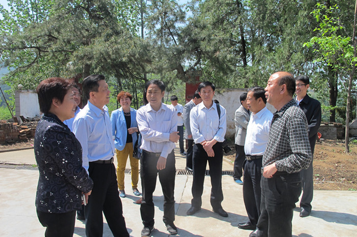 陈厅长到川口林场调研